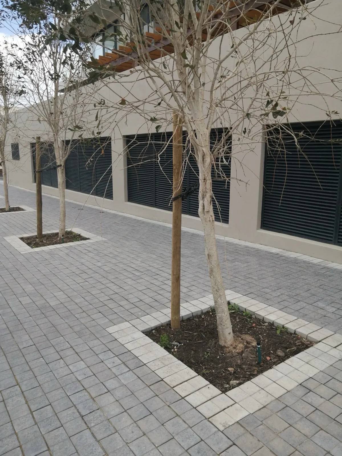 Commercial Precinct — Plaza Cobble